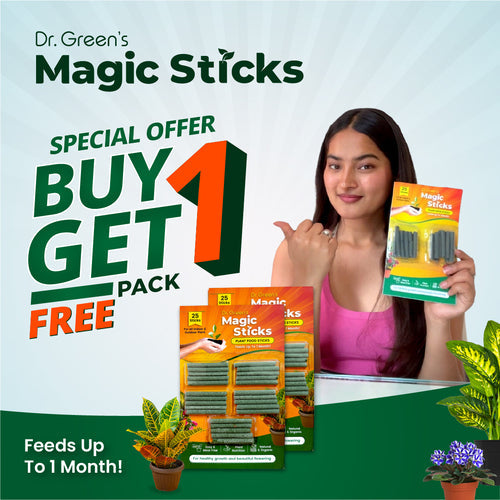 Magic Green Plant Nutrition Sticks Buy 1 Get 1 Free