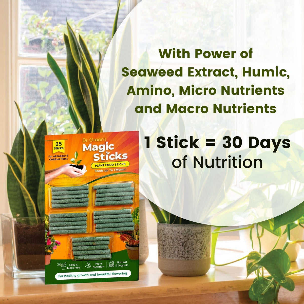 Benefits of Magic Green plant nutrition sticks