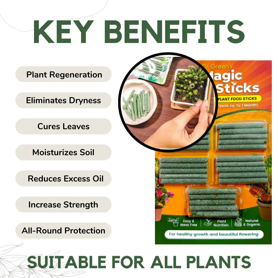 How Magic Green plant nutrition sticks work