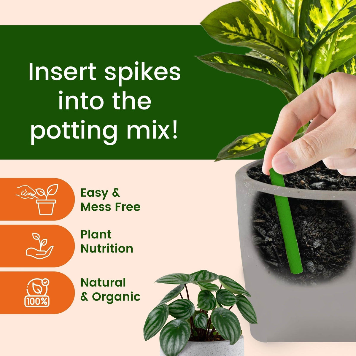 Up to 30 days of gradual plant nutrition