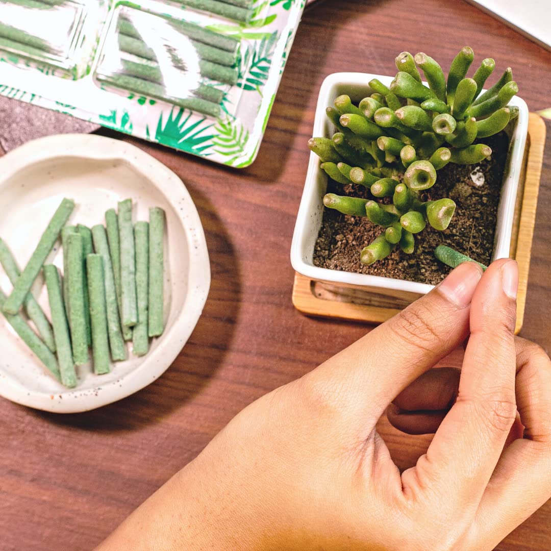 Magic Green plant sticks usage guide