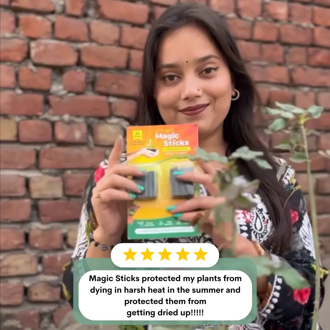 Plant care support with Magic Green sticks