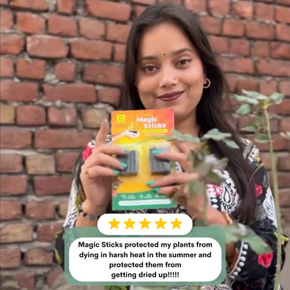 Plant care support with Magic Green sticks