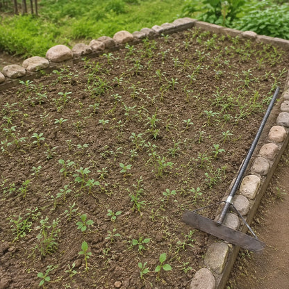 Garden bed before clearing young weeds